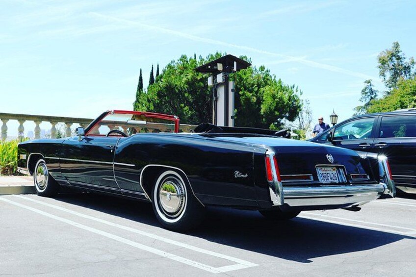 California Cruiser 5