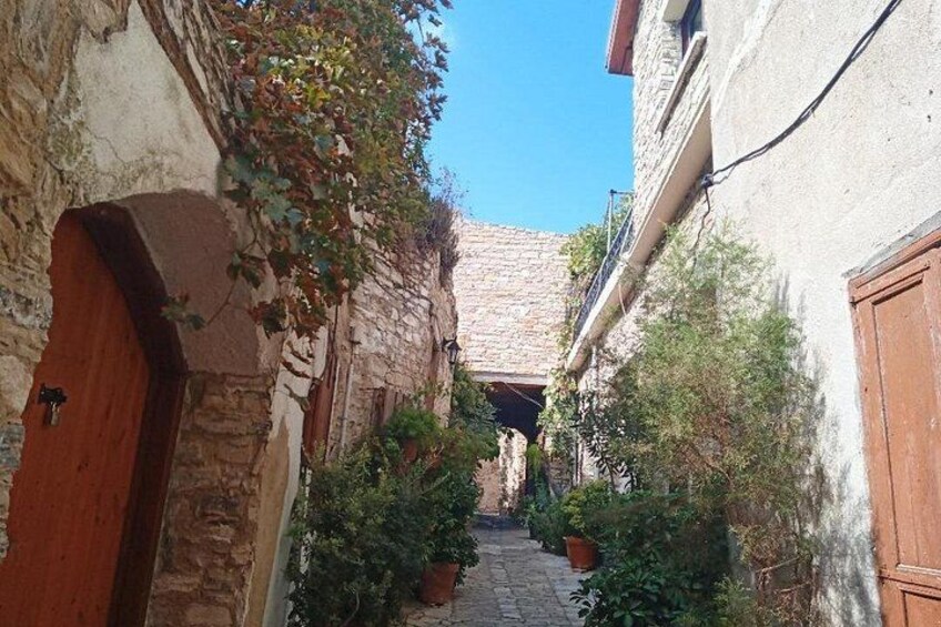 A narrow alleyway with stone walls, wooden doors, and potted plants. 5