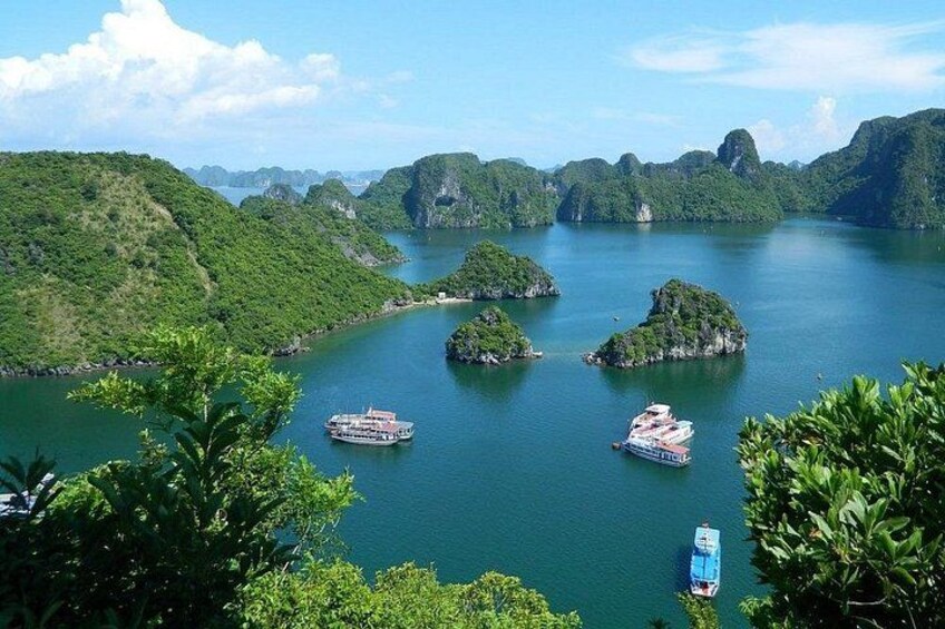 Full-Day Halong Bay Islands and Cave Tour by Transfer Expressway 1