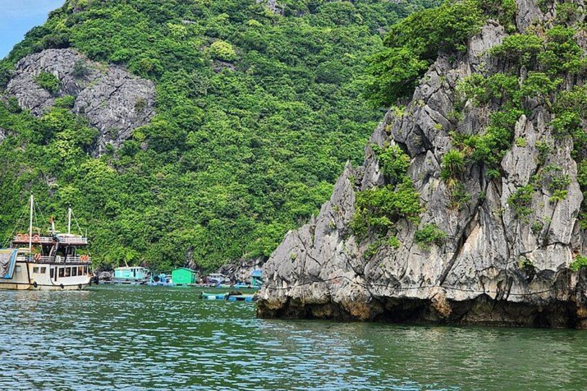 Halong-Bay-Tours 3