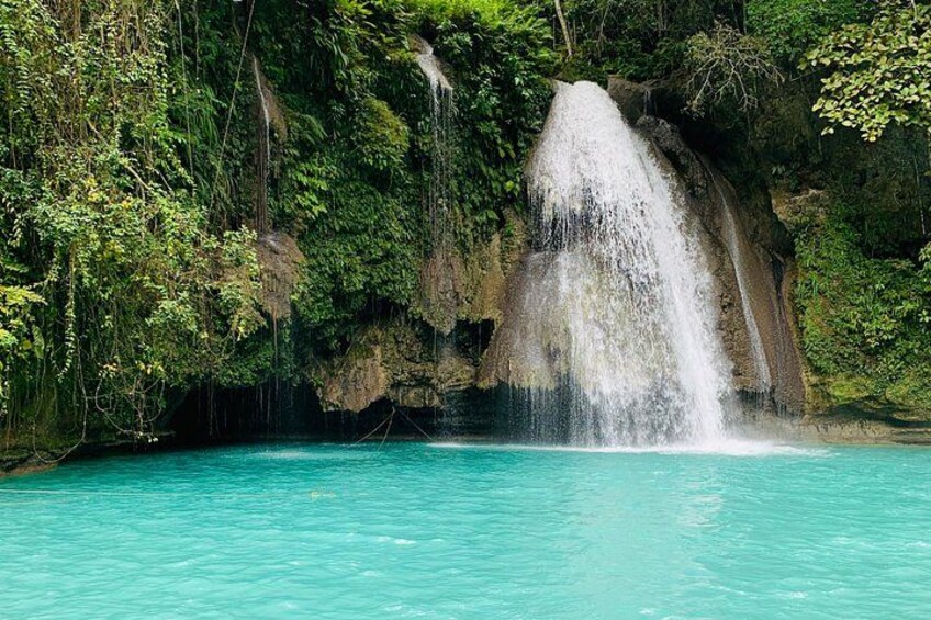 Cebu Oslob Whalesharks, Sumilon & Kawasan Waterfalls Tour 3