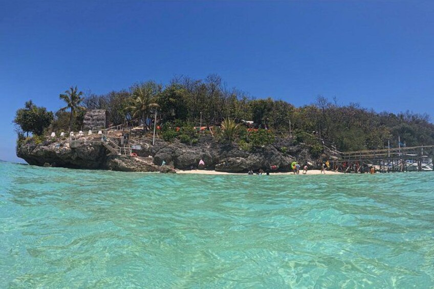 Cebu Whaleshark Tour 4