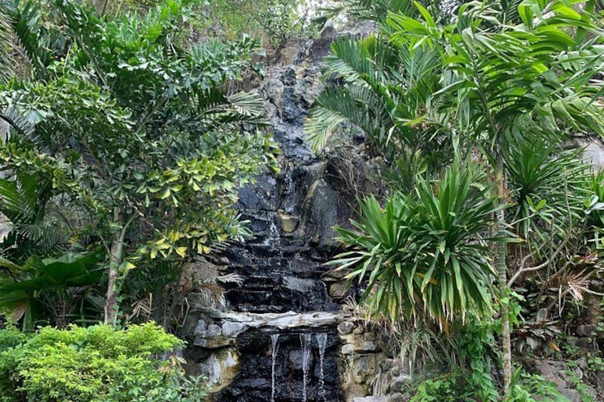 A waterfall cascading over rocks surrounded by lush greenery. 3
