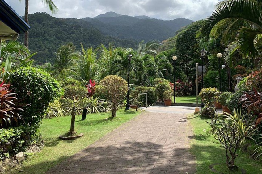A paved pathway flanked by lush greenery and palm trees, leading towards a mountainous backdrop. 2