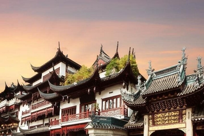 Shanghai Highlight Afternoon & Evening Tour 3