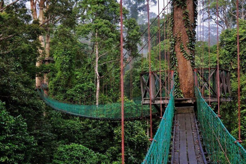 Kinabalu Park