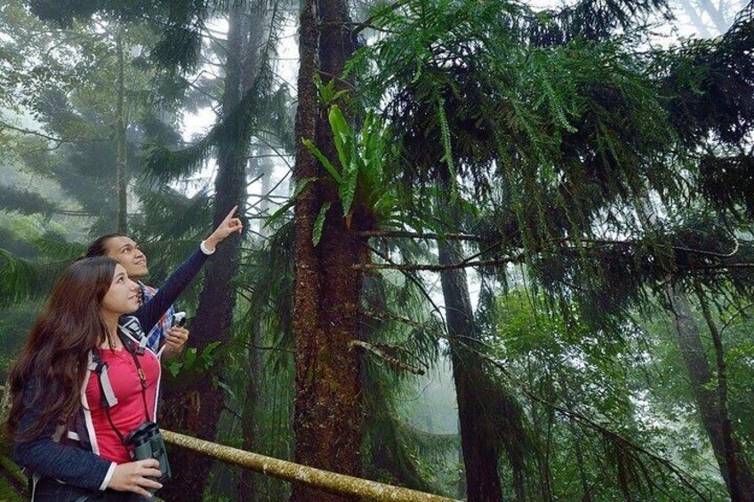 Kinabalu Park