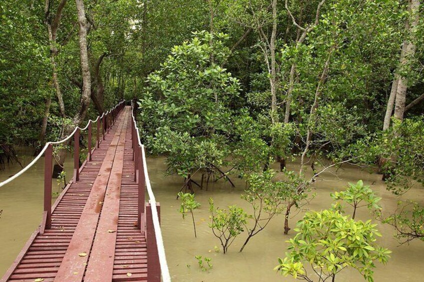 Kuala Selangor Nature Park 3