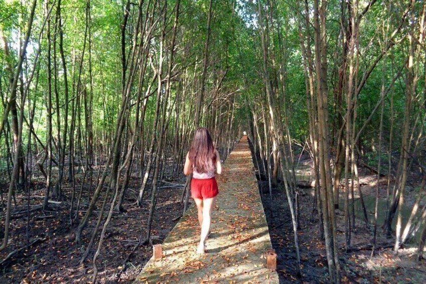 Kuala Selangor Nature Park 5