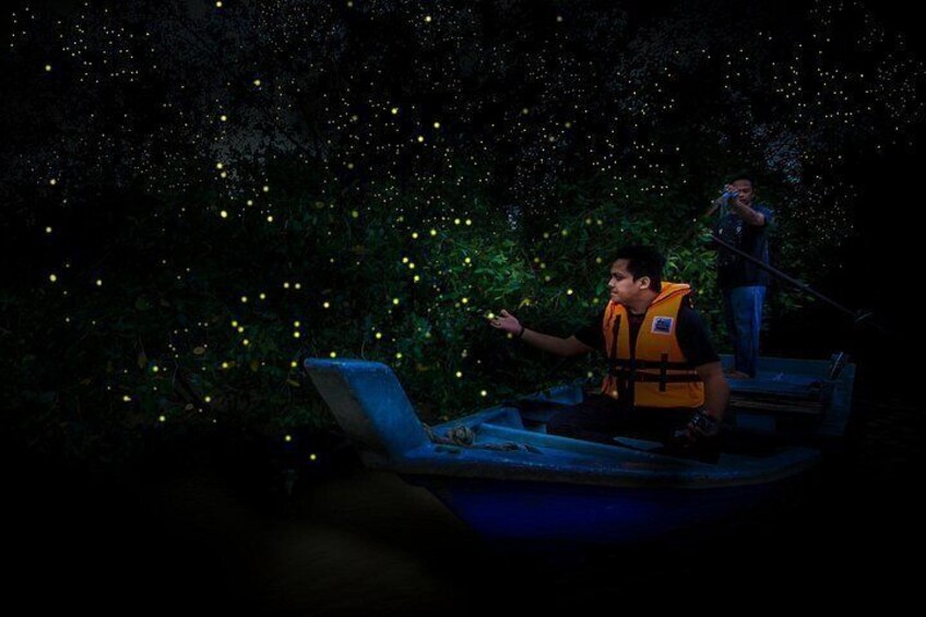 Kampung Kuantan Firefly Park 2