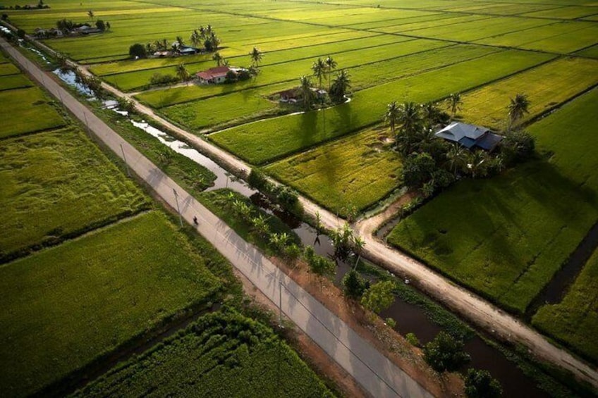 The picturesque Sekinchan paddy's field 4