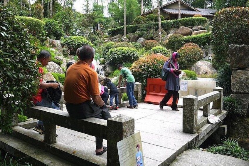 Bukit Tinggi French Village Private Tour 5