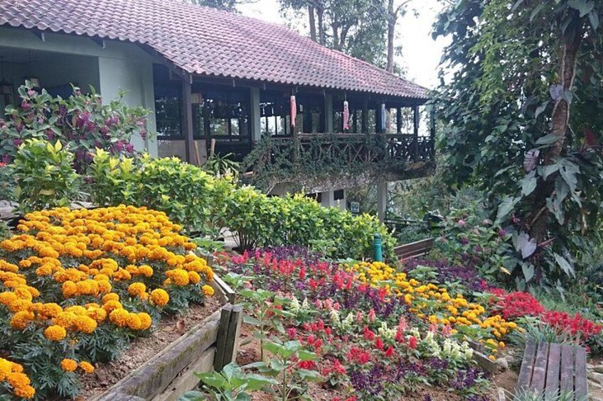 Botanical Garden 3