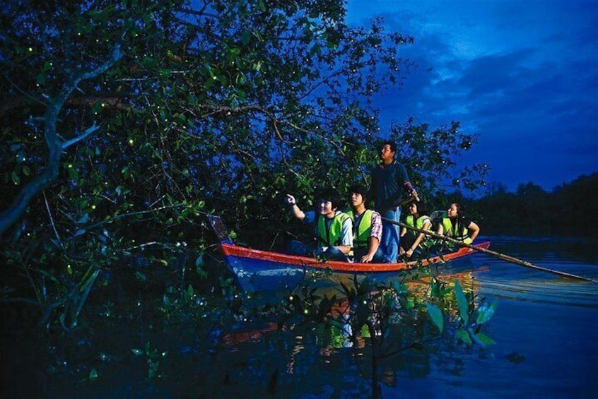Kampung Kuantan Firefly 1