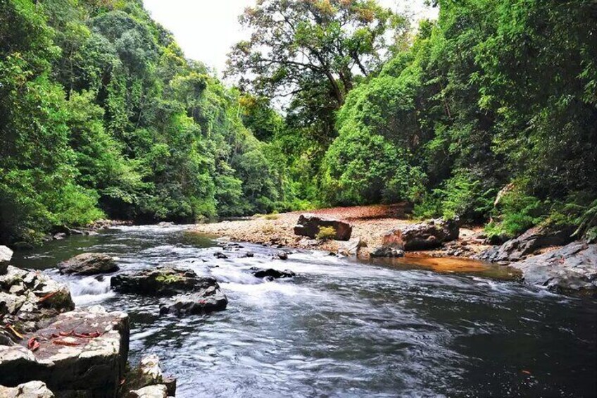 A river flowing through a forested area with rocks and trees. 4