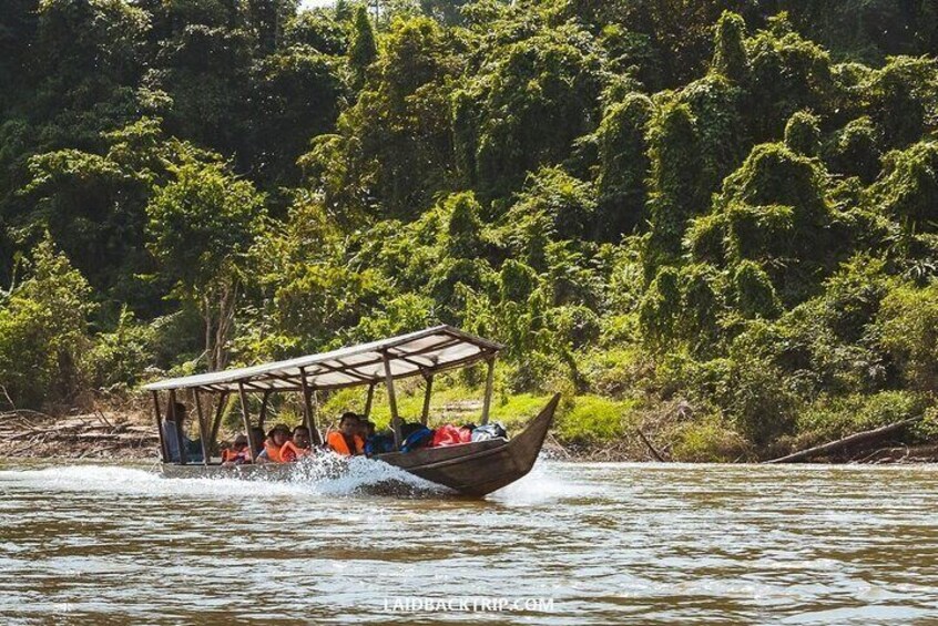 A boat with passengers on a river surrounded by dense greenery. 5