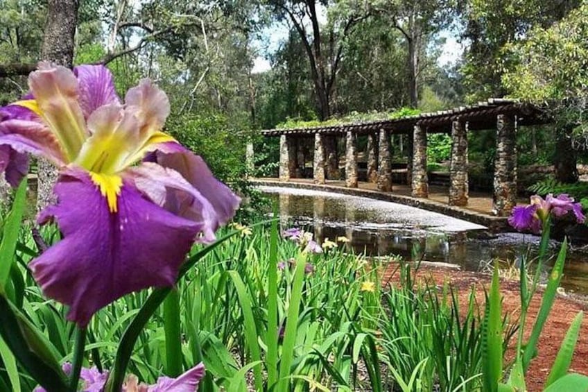 Perth Hills Explorer Private Day Tour 2