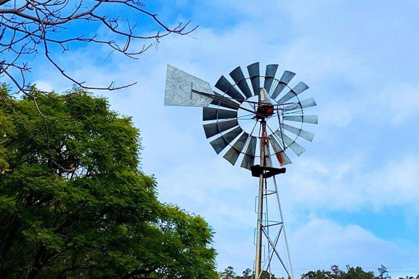 Perth Hills Explorer Private Day Tour 5