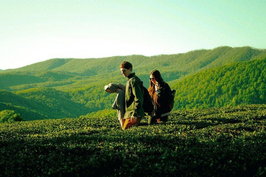Two people sitting on a hill with a lush green landscape in the background. 1