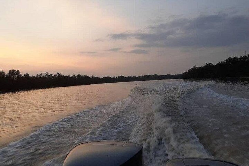 Une rivière où un bateau crée des vagues, bordée d’une rive ombragée par des arbres. 4