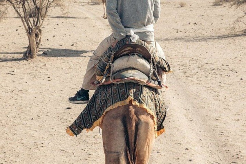 A person riding a camel in a desert environment. 2