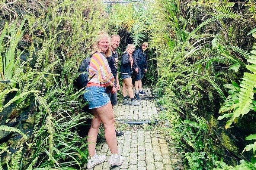 Un grupo de personas caminando por un sendero empedrado rodeado de helechos y abundante vegetación. 5