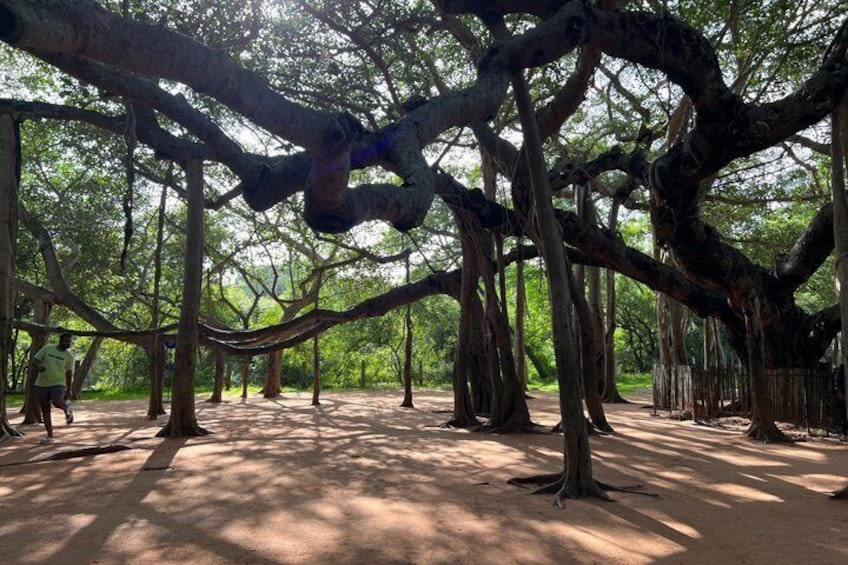 Pondicherry day trip from Chennai by Wonder tours 3