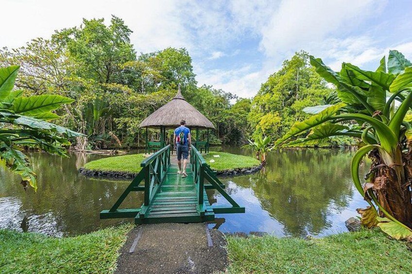Mauritius North Tour - Full Day Excursion 1
