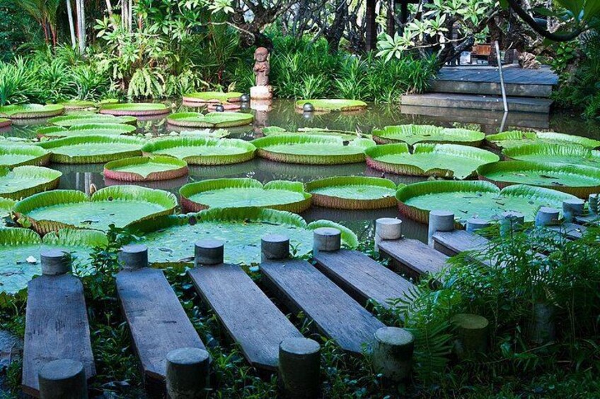 Mauritius North Tour - Full Day Excursion 4