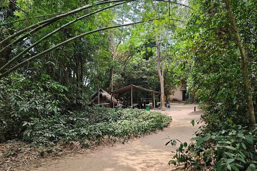 A forested area with a dirt path leading to a thatched-roof structure. 5