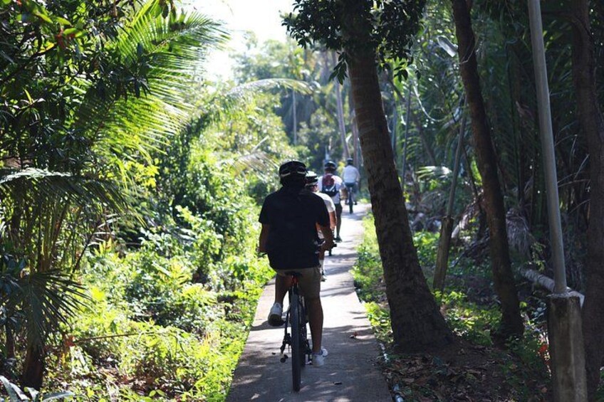A pathway flanked by trees, with cyclists riding along it. 3