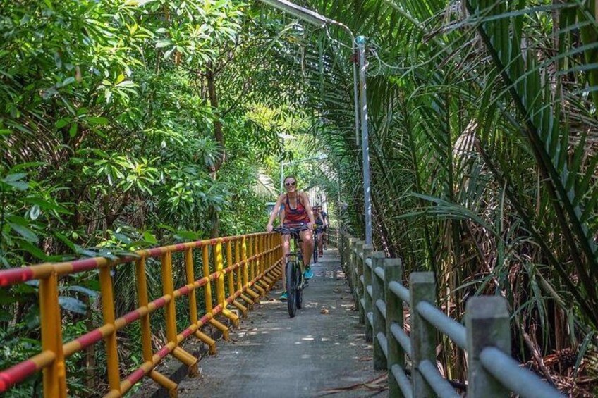 A person riding a bicycle on a bridge surrounded by dense vegetation. 2