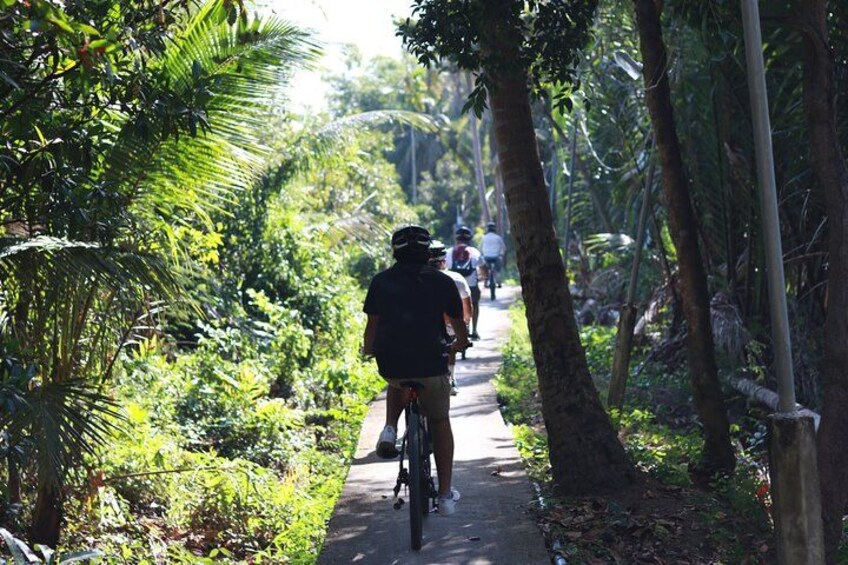 Elevated pathways biking 4