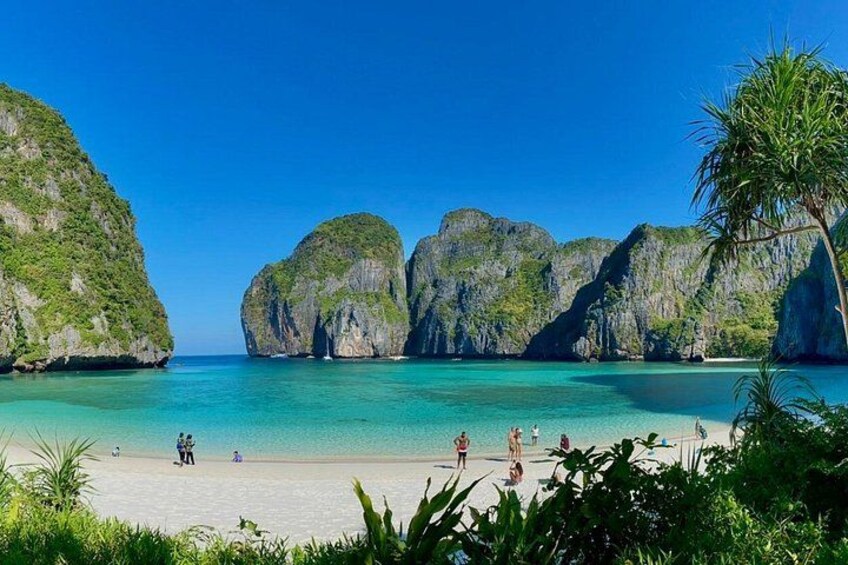 Phi Phi Early Bird & 4 Islands - Day Tour by Speedboat From Krabi 4