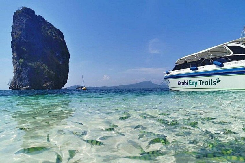 Phi Phi Early Bird & 4 Islands - Day Tour by Speedboat From Krabi 2