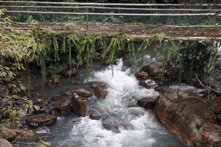 Une rivière aux eaux vives, parsemée de rochers, avec un pont et une végétation luxuriante. 3