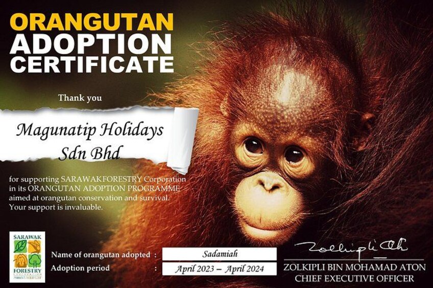Semenggoh Orangutan Centre from Kuching 3