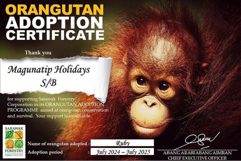Semenggoh Orangutan Centre from Kuching 2