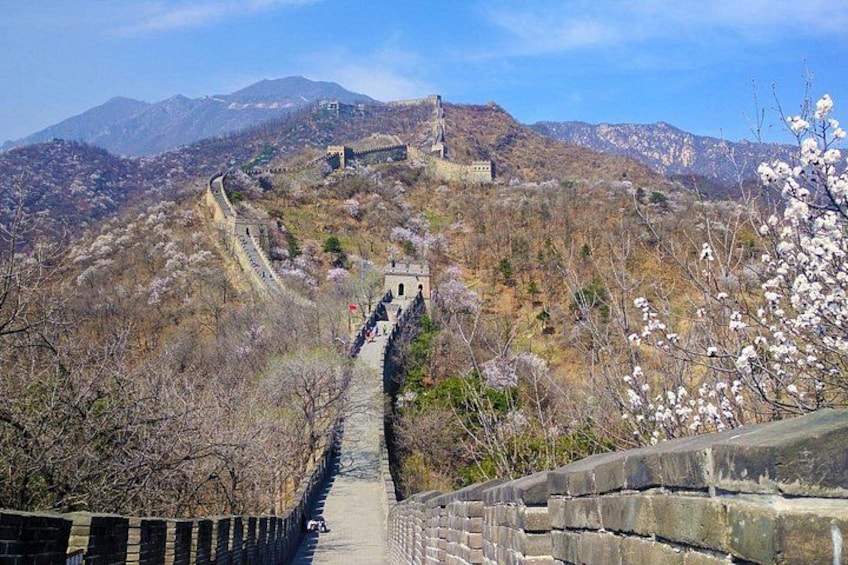 The Great Wall of China winding through a mountainous landscape with sparse vegetation and a clear sky. 5