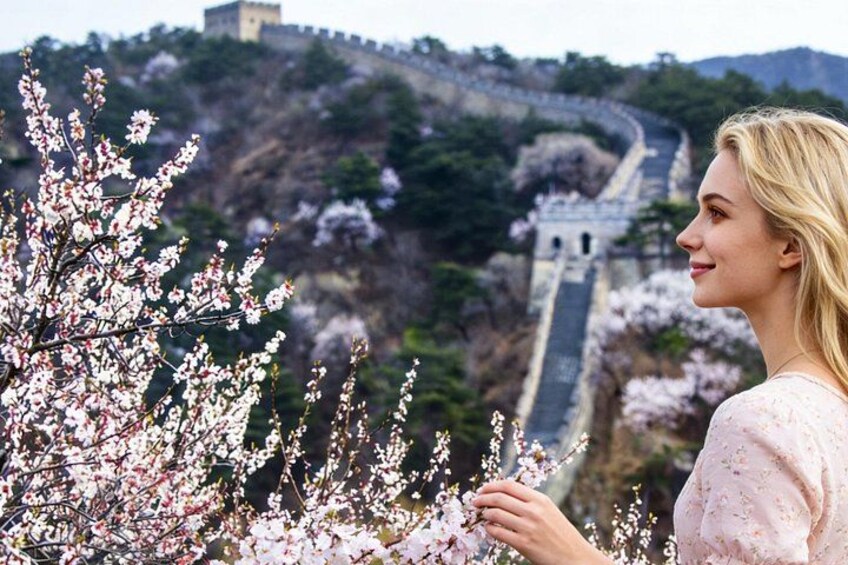 A person standing in front of a cherry blossom tree with a view of the Great Wall of China in the background. 1