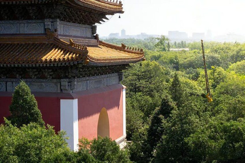 Una pagoda tradicional china con tejas ornamentales, rodeada de exuberante vegetación. 4
