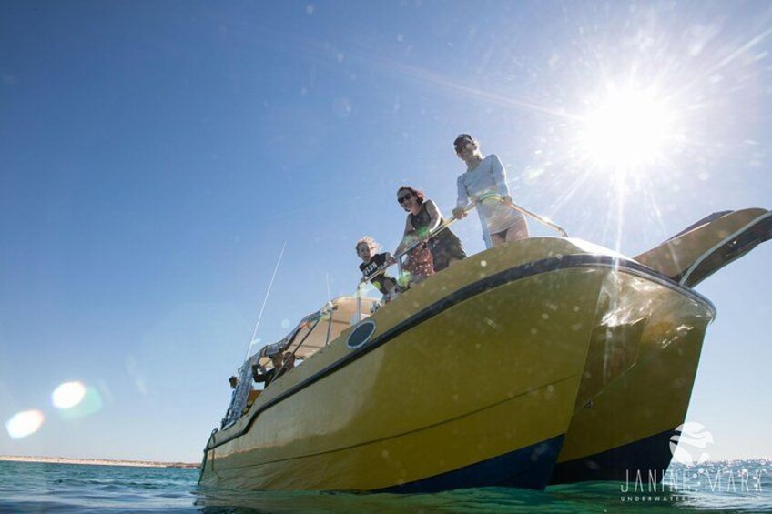 2.5 hour Snorkel / Turtle Tour on the Ningaloo Reef, Exmouth 4
