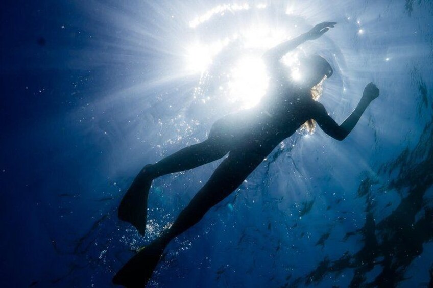 Friendly helpful staff will make sure you are comfortable and safe in the water. We are happy to provide tips and tuition for beginner snorkelers. 2