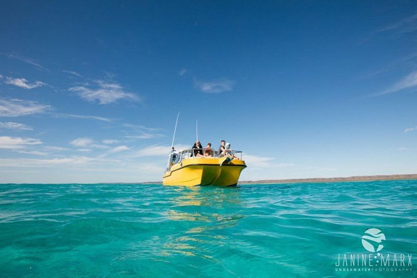6 hour Ningaloo Reef Snorkel and Wildlife Adventure 3