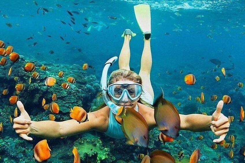 All Inclusive : Bali Blue Lagoon Snorkeling, Lunch, and Transport 4