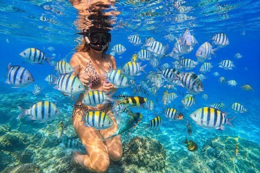 All Inclusive : Bali Blue Lagoon Snorkeling, Lunch, and Transport 5