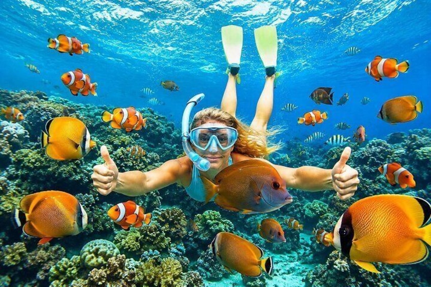 All Inclusive : Bali Blue Lagoon Snorkeling, Lunch, and Transport 1