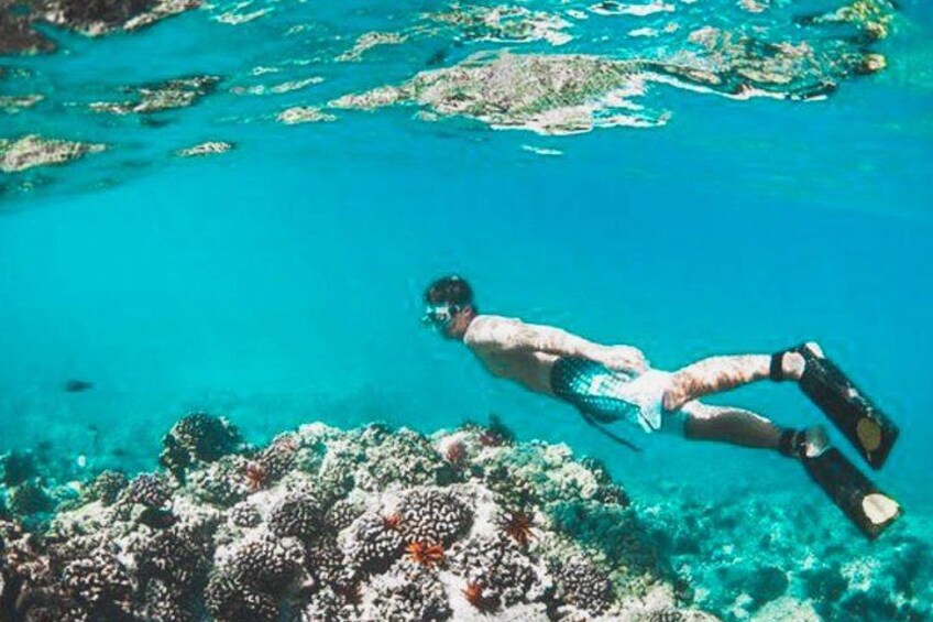 A person snorkeling in clear blue water with coral formations. 4