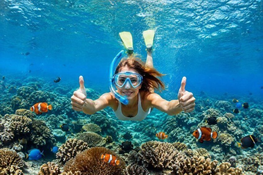 All Inclusive : Bali Blue Lagoon Snorkeling, Lunch, and Transport 2