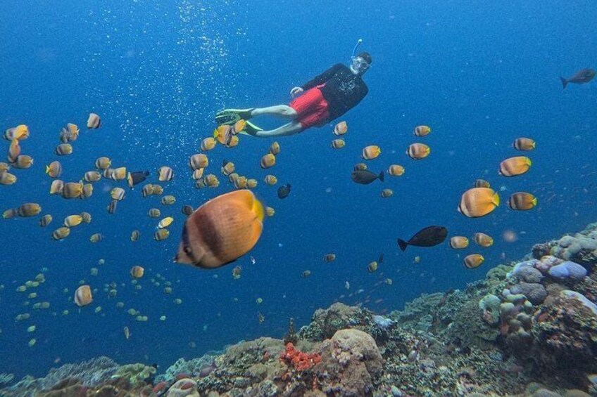 All Inclusive : Bali Blue Lagoon Snorkeling, Lunch, and Transport 5
